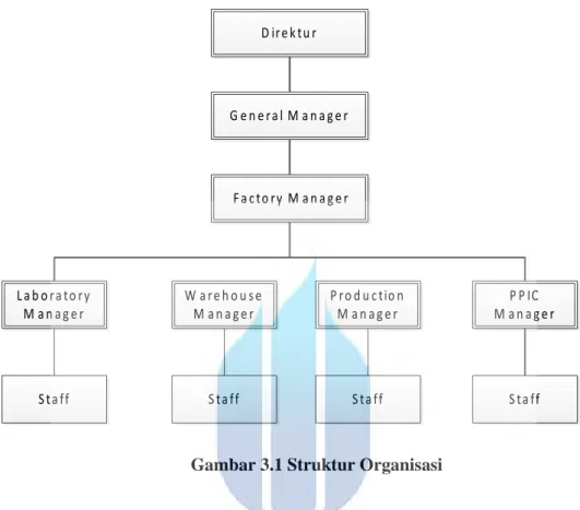 Gambar 3.1 Struktur Organisasi 