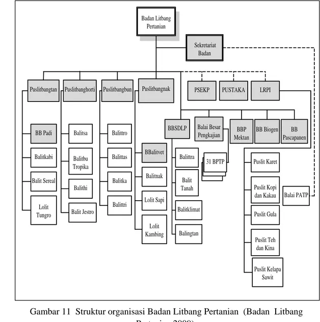 Gambar 11  Struktur organisasi Badan Litbang Pertanian  (Badan  Litbang   Pertanian 2009)