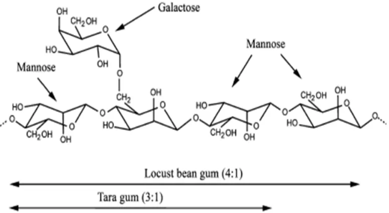 Gambar 2.1. Struktur umum gaktomanan  (Cerqueira et al., 2009). 