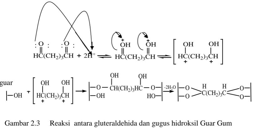 Gambar 2.2 Reaksi ikat silang galaktomanan dan ion borat(Chudzikowski, 1971) 