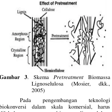 Gambar 3 . Skema Pretreatment Biomassa 