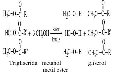 Gambar 1. ReaksiTransesterifikasi 