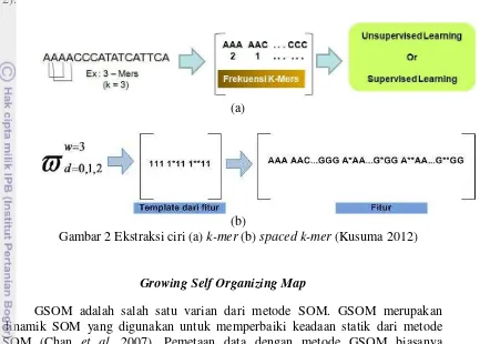 Gambar 2 Ekstraksi ciri (a) k-mer (b) spaced k-mer (Kusuma 2012) 