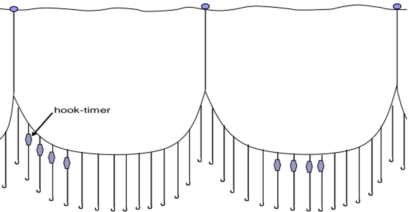 Gambar 1. Posisi hook timer di tali cabang rawai tuna Figure 1. Hook timer position at branch line of tuna longline