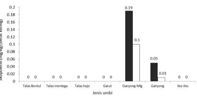 Gambar 4. Kandungan skopoletin dalam     daging dan     kulit pada beberapa jenis umbi-umbian selain ubi kayu dan ubi jalar