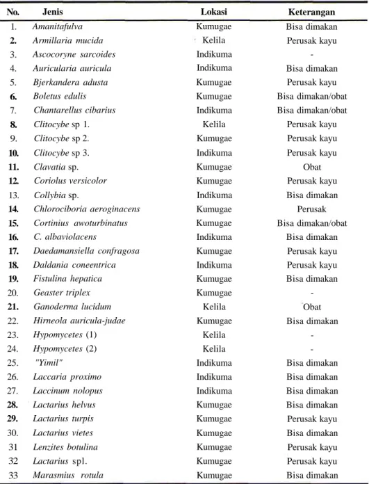 Tabel 1. Hasil eksplorasi biodiversitas Basidiomycetes di daerah Wamena dan Sekitamya.