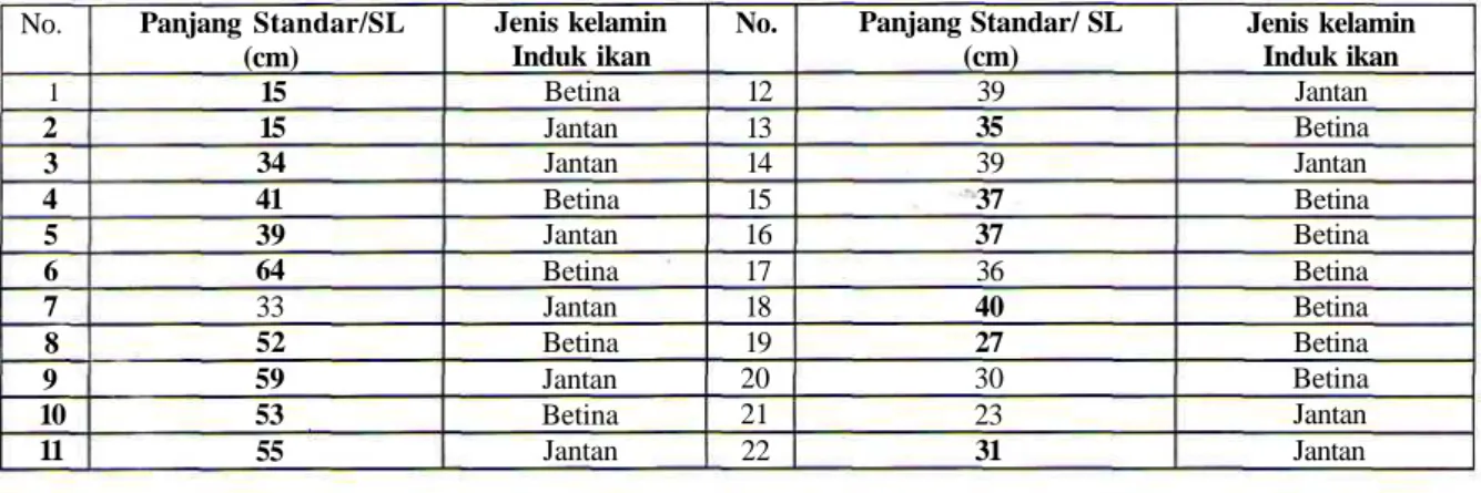Tabel 1. Perbandingan jumlah jantan-betina dari populasi S.jardinii di Danau Rawa Vomo, Senggo, Merauke, Papua (virgin habitat)