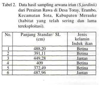 Tabel 2. Data hasil sampling arwana irian (S.jardinii) dari Perairan Rawa di Desa Toray, Erambo, Kecamatan Sota, Kabupaten Merauke (habitat yang telah sering dan lama tereksploitasi)