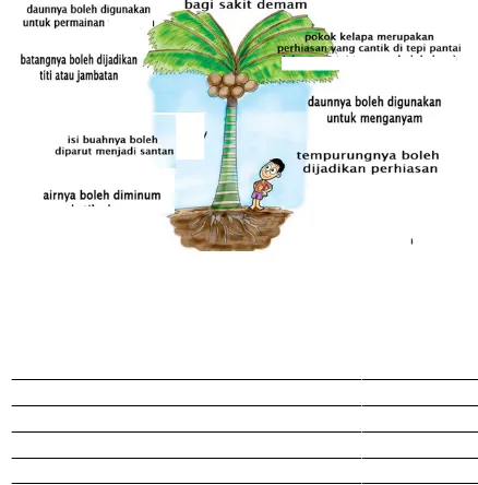 Gambar menunjukkan kegunaan pokok kelapa. Tuliskan ayat yang lengakp tentang kegunanaan pokok kelapa.