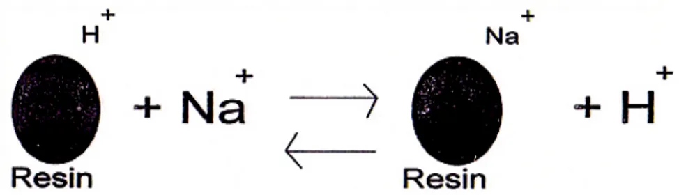 Gambar 2.3 Pertukaran ion resin 