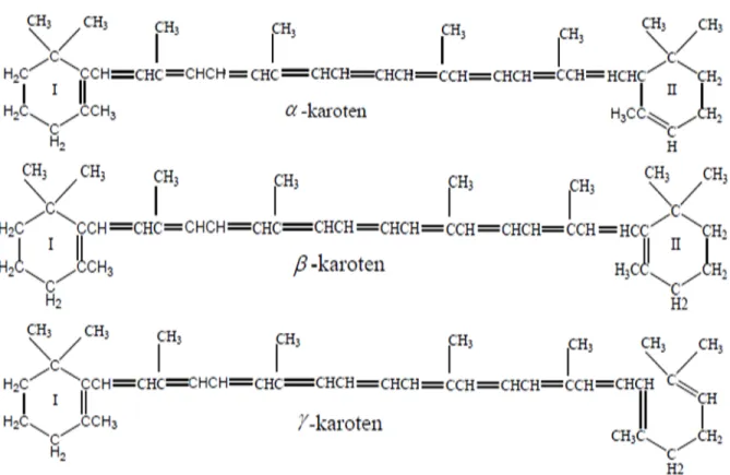 Gambar 2.2 Rumus bangun  α, β dan γ karoten 