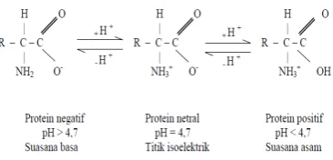 Gambar 1.  Protein Dipolar 