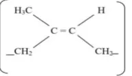 Gambar 1.  Struktur umum cis-1,4 poliisoprena 