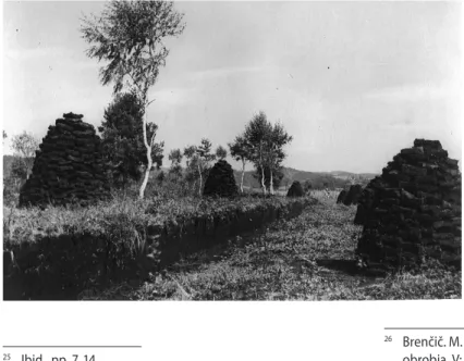 Figure 5 Cutting and drying peat in  the Ljubljana Marsh (photo: archives  of the Ljubljansko barje Nature Park).