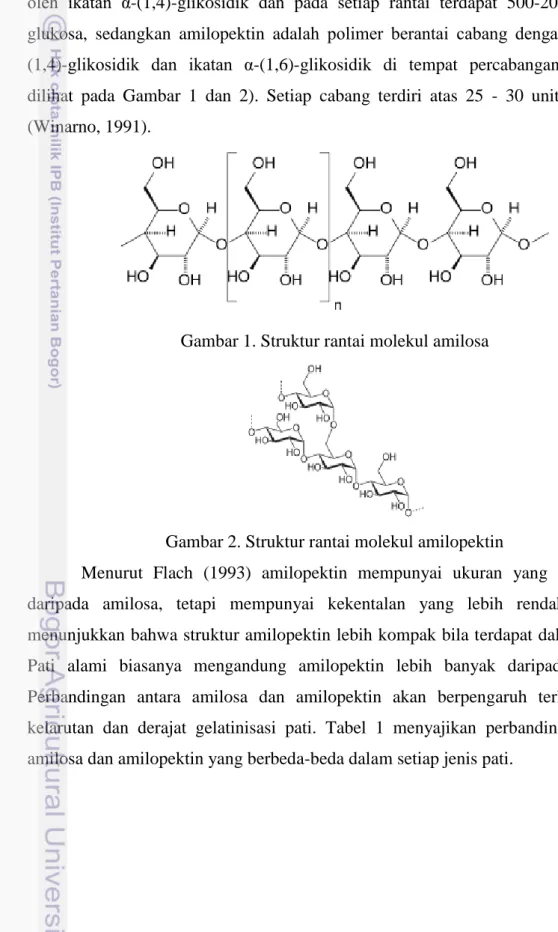 Gambar 1. Struktur rantai molekul amilosa  
