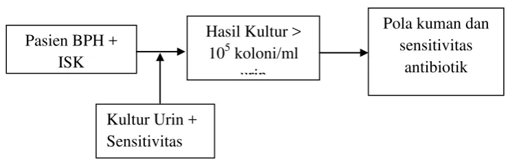 Gambar 3.1. Kerangka Konsep