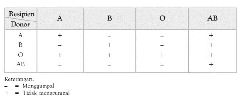 Tabel 2.2 Skema Transfusi Darah 