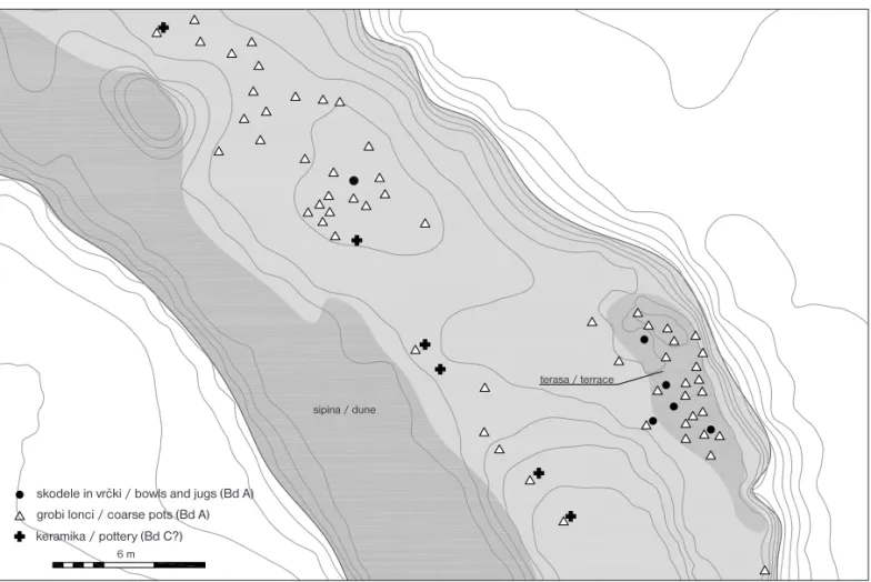 Fig. 5: Plan of the pile-dwelling site at Mali Otavnik I. Distribution of pottery (digital rendering: M