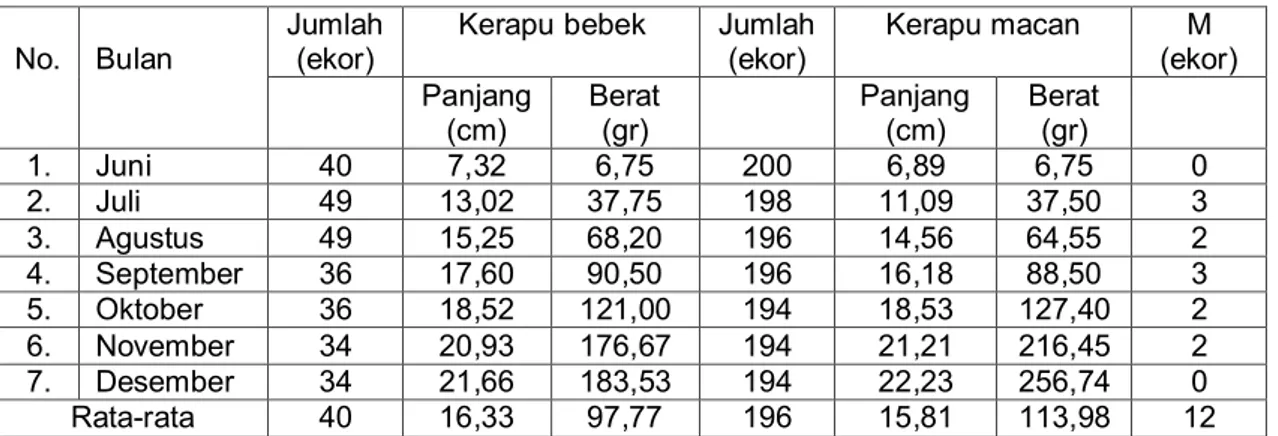 Tabel  1.  Panjang  dan  berat  ikan  kerapu  bebek  (C.  altivelis)  dan  kerapu  macan  (E