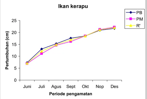 Gambar  5.  Kecepatan  pertumbuhan  panjang  ikan  kerapu  bebek  (PB),  kerapu  macan  (PM), dan rata-rata (R’)  