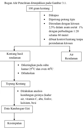 Gambar 3.1. Bagan Alir Penelitian 