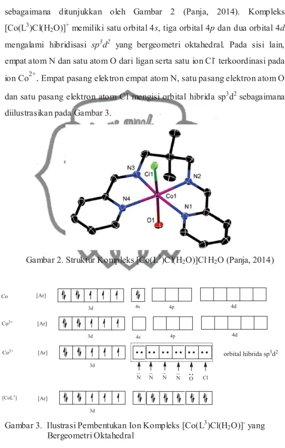 Gambar 2. Struktur Kompleks [Co(L 3 )Cl(H 2 O)]Cl . H 2 O (Panja, 2014)