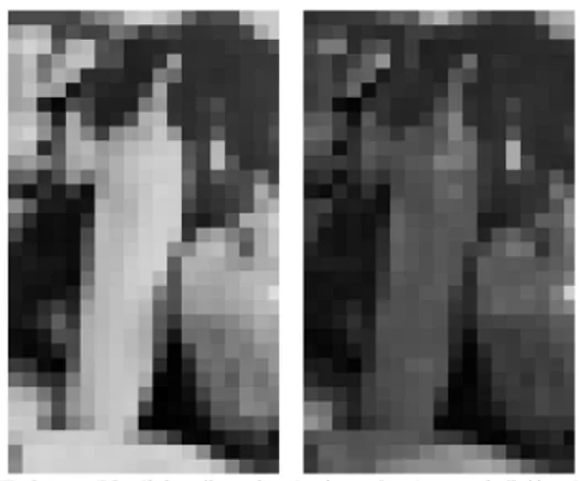 Gambar dalam format JPEG umumnya dikompresi  dengan menggunakan JFIF encoding: 