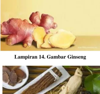 Lampiran 14. Gambar Ginseng 