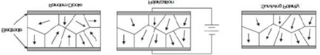 Gambar 1. Polycrystal dengan Random Polar Axis 