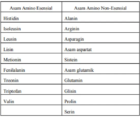 Tabel 1.2 Asam Amino Esensial dan Nonesensial 