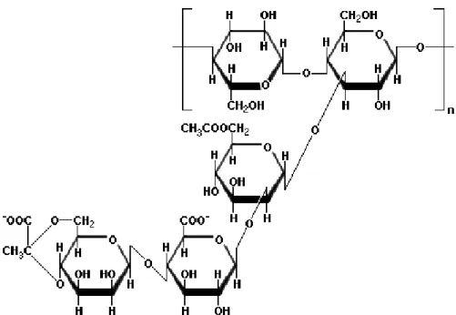 Gambar 1. Struktur kimia gum arab (Williams dan Phillips, 2004). 