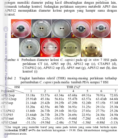 Gambar 4  Perbedaan diameter koloni C. capsici pada uji in vitro 7 HSI pada 