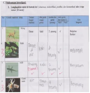 Gambar  5. Contoh jawaban siswa pada                       indikator observasi, identifikasi,                      Prediksi dan         