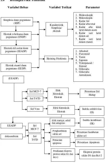 Gambar 1.1 Diagram kerangka pikir penelitian 