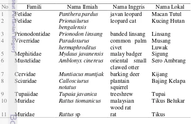 Tabel 1  Hasil perolehan gambar mamalia yang tertangkap oleh kamera jebakan 