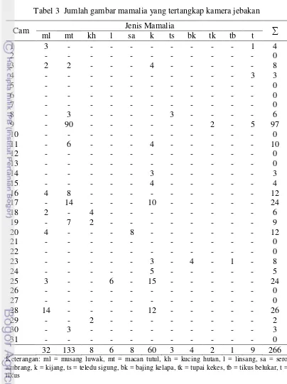Tabel 3  Jumlah gambar mamalia yang tertangkap kamera jebakan 