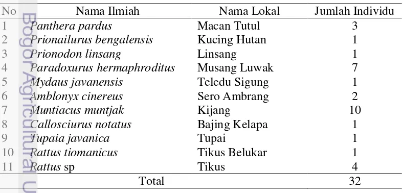 Tabel 4  Jumlah individu mamalia yang tertangkap oleh kamera jebakan 