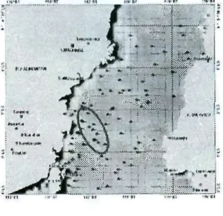 Gambar 3-4a: Sebaran harian klorofil-a  perairan selat Makassar  tanggal 12  J u n i 2004 