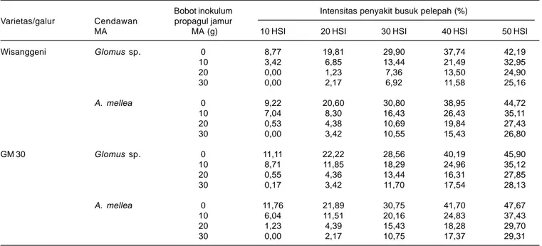 Tabel 4. Intensitas penyakit busuk pelepah pada jagung yang diinokulasi Glomus sp. dan A