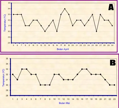Gambar 5. Temperatur Udara Bulan April (A) dan Bulan Mei (B) di Petak I dan II  