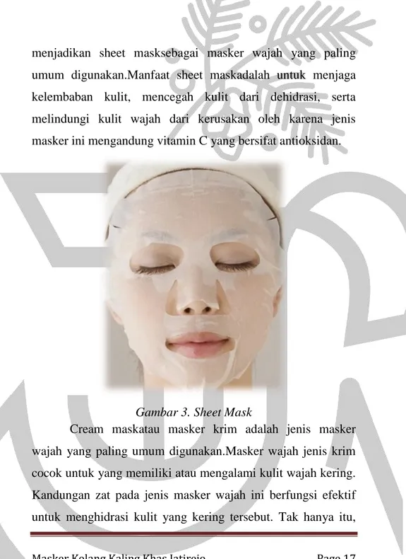 Gambar 3. Sheet Mask 