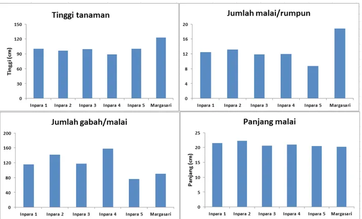 Gambar 2. Keragaan Hasil  Gabah (kg/ha) Varietas Inpara dan Margasari