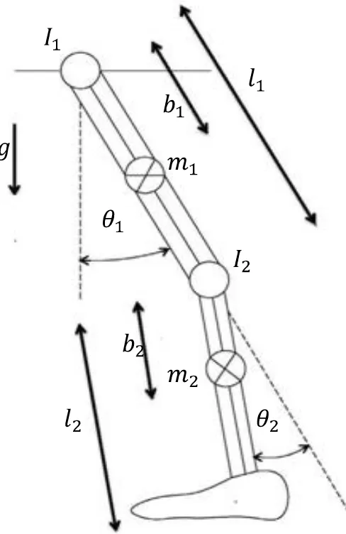 Gambar 2.2 Model dinamik dari swing leg. 