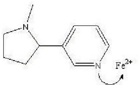 Gambar 4. Struktur senyawa nikotin dalam mendonorkan N 