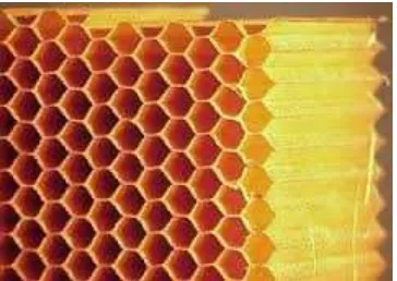 Gambar 2.8. Honeycomb