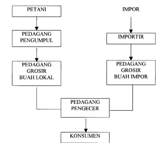 Gambar 20.  Jalur Pemasaran Buah Impor dan Buah Lokal di DKI Jakarta 