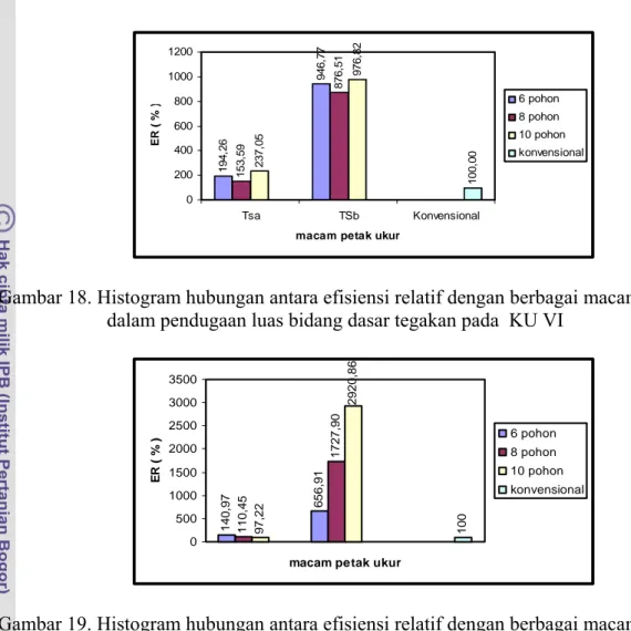 Gambar 19. Histogram hubungan antara efisiensi relatif dengan berbagai macam petak ukur  dalam pendugaan luas bidang dasar tegakan pada  KU VII 