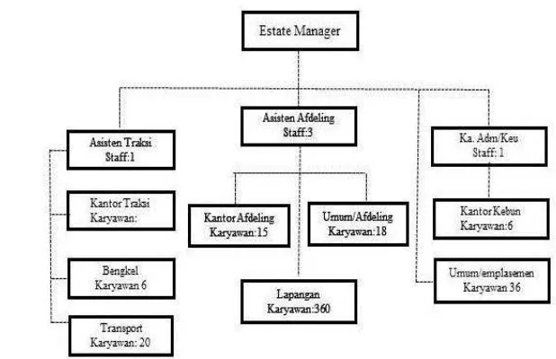 Gambar 1 Struktur organisasi Kebun Talisayan 1