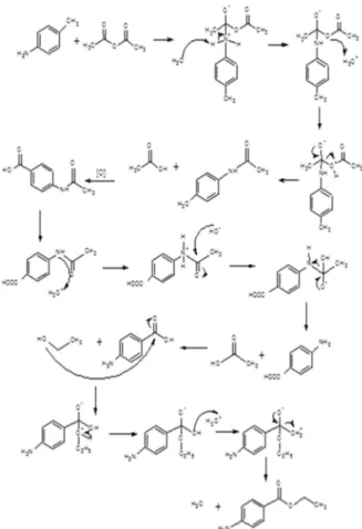 Gambar 7. Mekanisme reaksi sintesis benzokain  