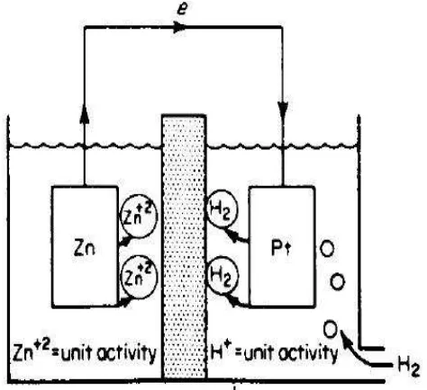 Gambar 2.4 Karat elektrokimia pada logam seng [6]